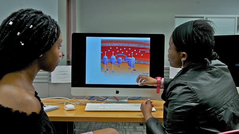 students-in-front-of-computer